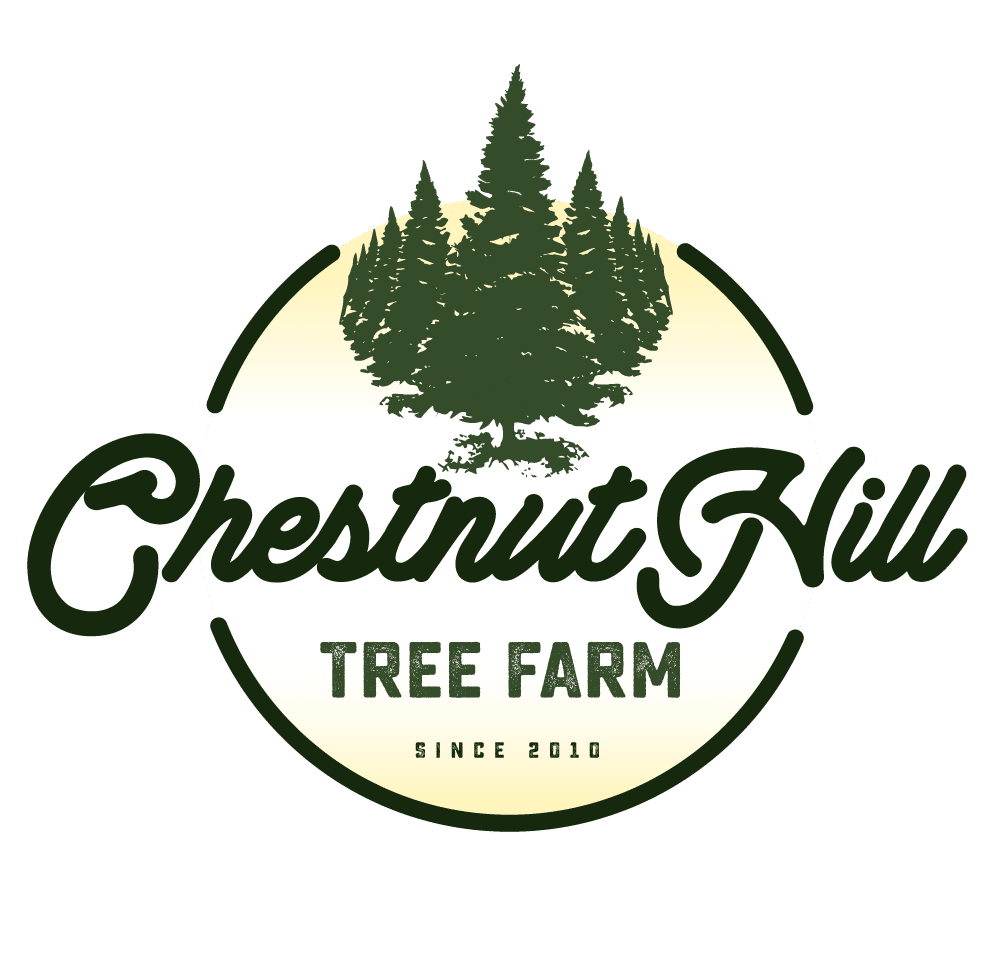 Chestnut Hill Christmas Tree Farm